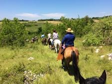 Italy-Abruzzo/Molise-Secrets of the Guardiaregia Campochiaro Reserve